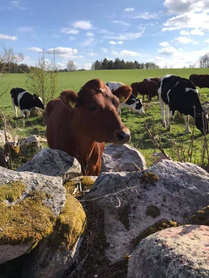 Sjotorp Sateri Bed & Breakfast Larv Buitenkant foto